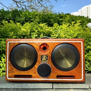 LOA XÁCH TAY CHÍNH HIỆU CAMEL MODEL C-310
