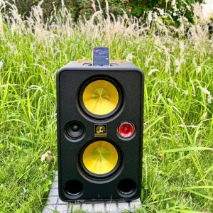 LOA XÁCH TAY DU LỊCH CAMEL C-320